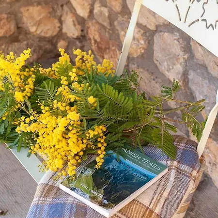 Casa Begona-situada En Sardedo, Ribadesella * Linares (Asturias)